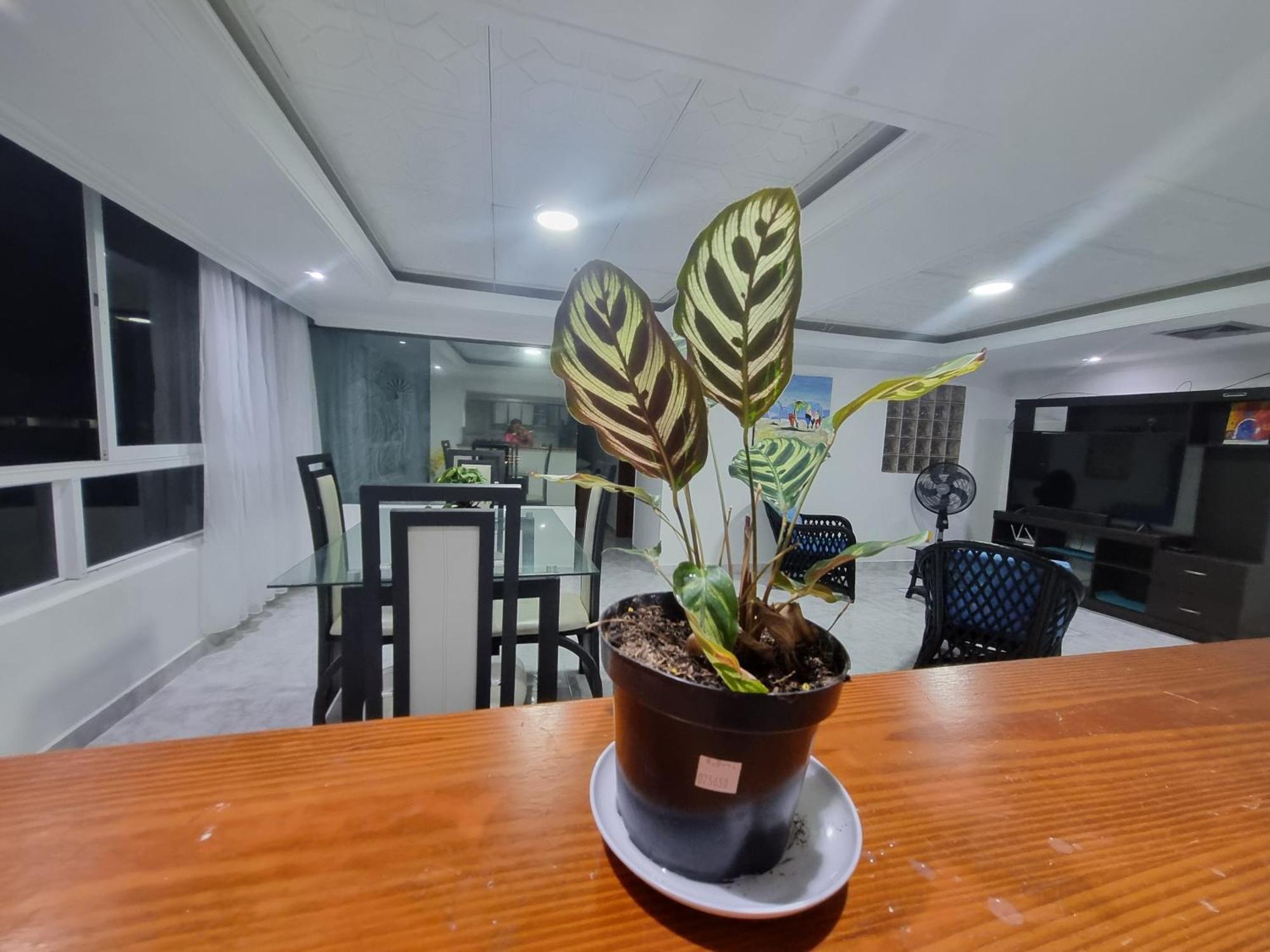 Bahia Fragata 803a Appartement San Andrés
